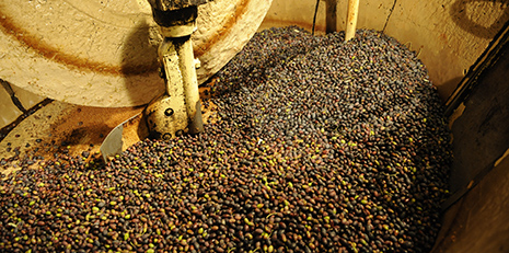 Olives broyées par la meule du moulin